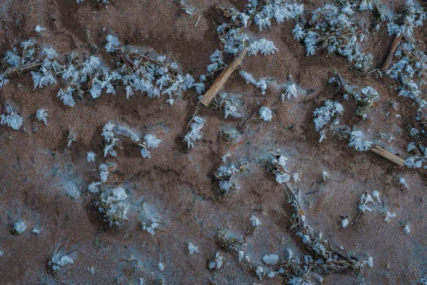 Берег Озера Льдом Песке Крупным Планом Текстуры — стоковое фото