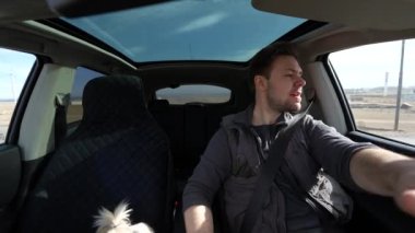 Güneşli bir günde araba süren adam iç manzara, ikinci koltukta shih tzu köpeği.