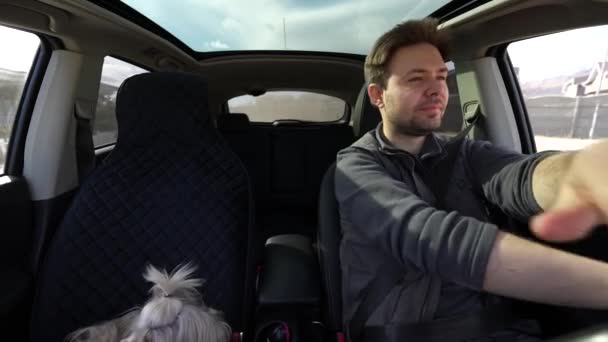 Mężczyzna Jazdy Samochodem Słoneczny Dzień Widok Wnętrza Shih Tzu Pies — Wideo stockowe