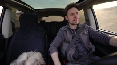 Güneşli bir günde araba süren adam iç mekan manzaralı, ikinci koltukta shih tzu köpeği.