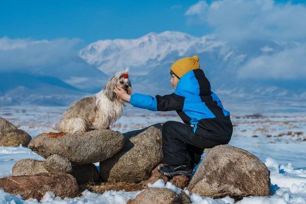 Niño Con Shih Tzu Perro Las Montañas Fondo — Foto de Stock