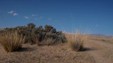 Dağlar sonbahar Kırgızistan panoramik manzarası