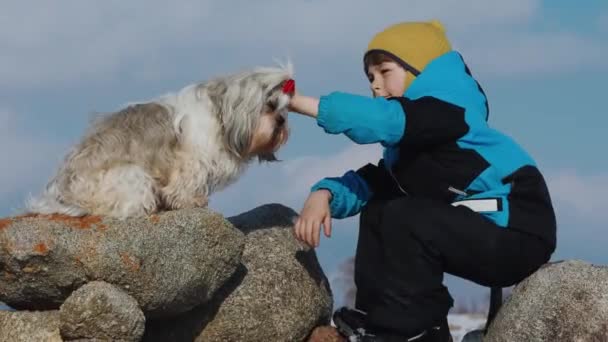 Dağlarda Yaşayan Shih Tzu Köpeği Olan Çocuk — Stok video