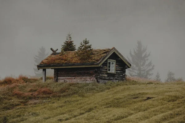 Altes Holzhaus Mit Bemoostem Dach Und Bäumen Norwegen — Stockfoto
