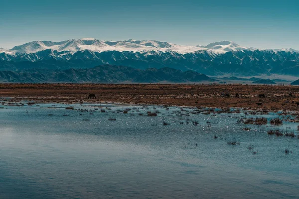 小さな湖 キルギスタンと高い山の風景 — ストック写真