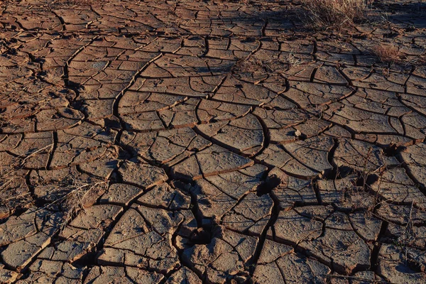 Terreno Incrinato Nel Deserto Tramonto — Foto Stock