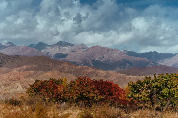 Paisaje Otoñal Con Árboles Sobre Fondo Montañoso Kirguistán —  Fotos de Stock