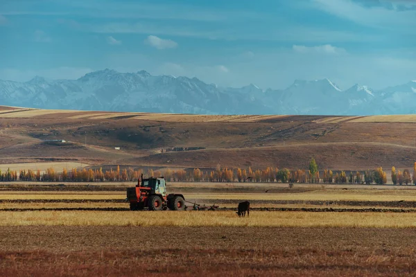 秋に畑を耕すトラクター — ストック写真
