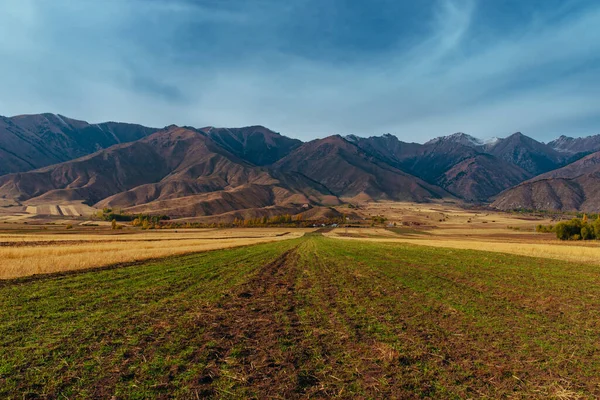 Paisagem Outono Com Campo Fundo Das Montanhas Quirguistão — Fotografia de Stock