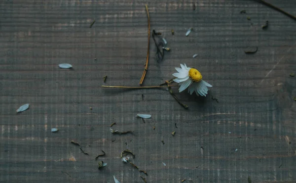 Stillleben Mit Gänseblümchen Auf Holzboden — Stockfoto