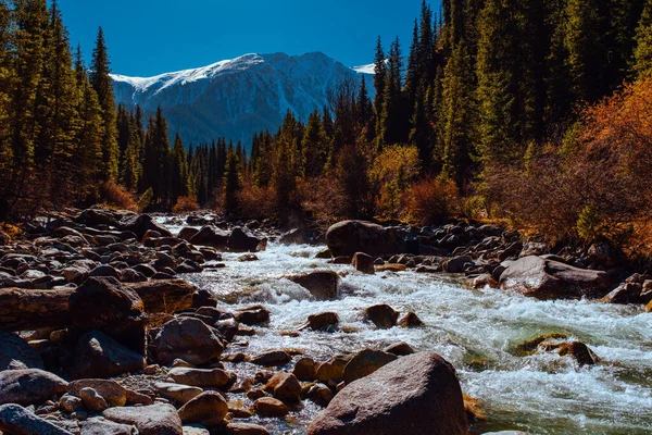 Осінній Гірський Пейзаж Річкою — стокове фото