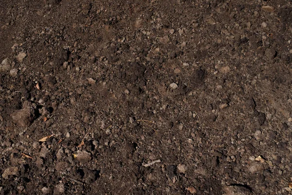 土壌テクスチャ クローズ アップ — ストック写真