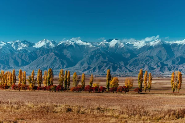 キルギスの山を背景にした秋の田園風景 — ストック写真
