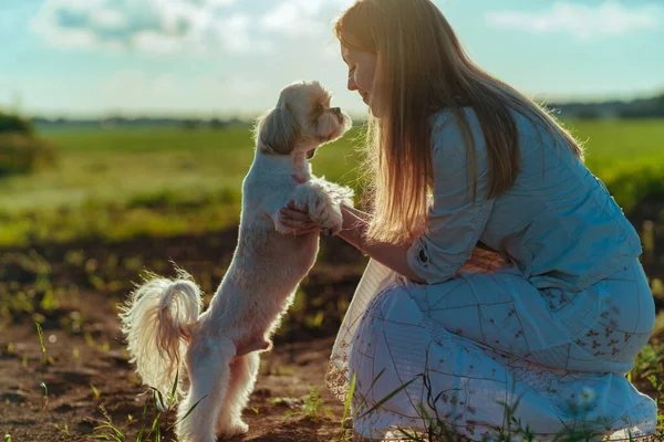 Νεαρή Γυναίκα Αγκαλιάζει Ένα Σκύλο Σιχ Τσου Ένα Χωράφι — Φωτογραφία Αρχείου