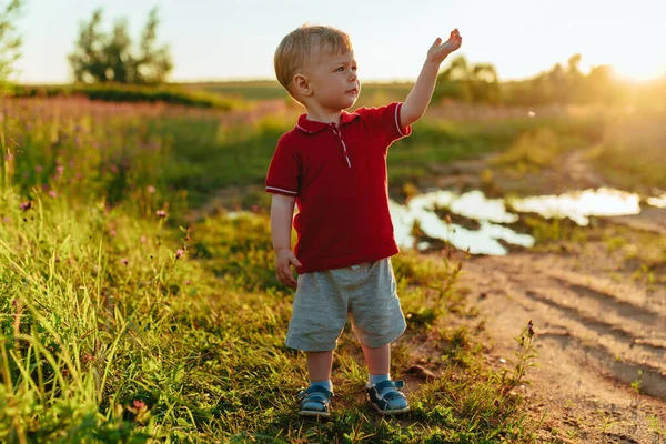 手を上げて畑に立つ2歳の子供 — ストック写真