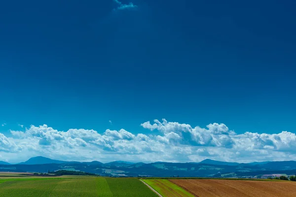 Malerische Ländliche Landschaft Mit Kultivierten Feldern Europa — Stockfoto