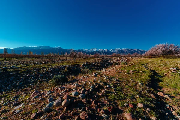 Voorjaarsberg Kirgizië Landschap Bij Zonsondergang — Stockfoto