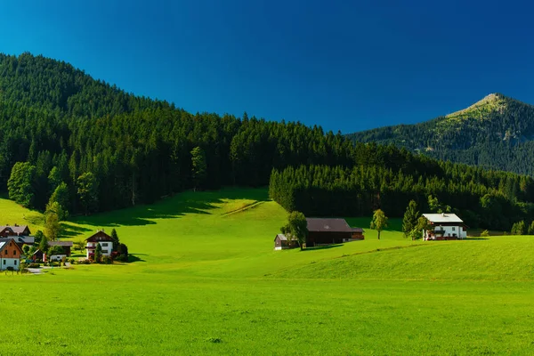Malerisches Tal Sommer Den Alpen — Stockfoto