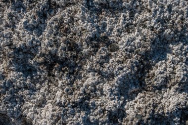 Kurumuş bir tuz gölünün yüzeyi