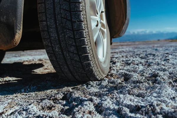 干上がった塩湖の表面に車の車輪 — ストック写真