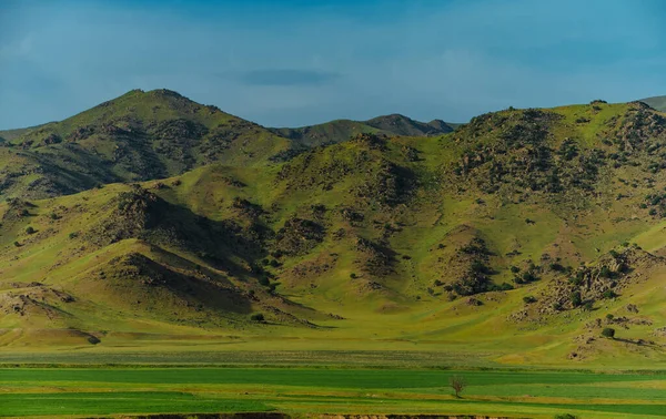 Vackert Bergslandskap Våren Med Färskt Grönt Gräs — Stockfoto