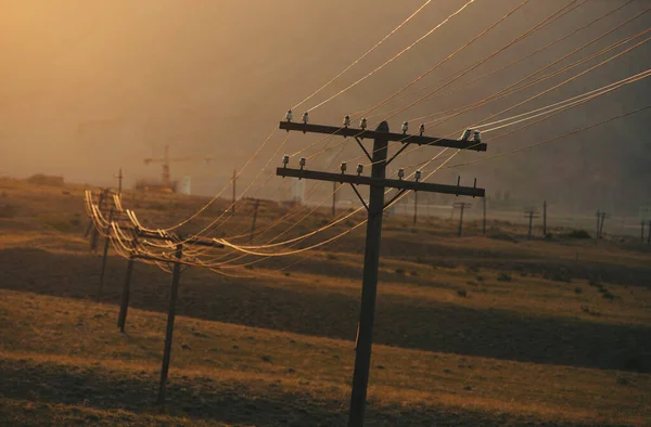 暖かい日没の光で電力線 — ストック写真