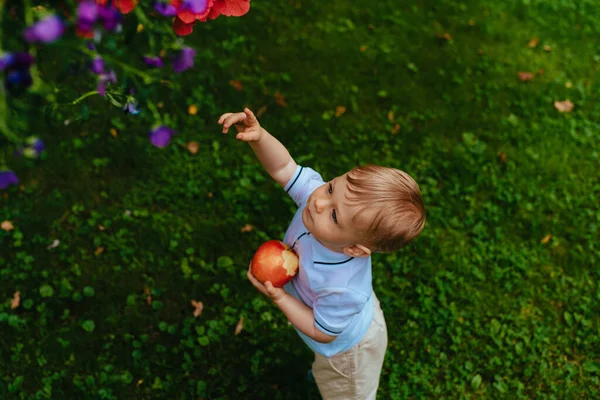 1歳の子供は大きな赤いリンゴを食べ 庭の花に手を伸ばします — ストック写真