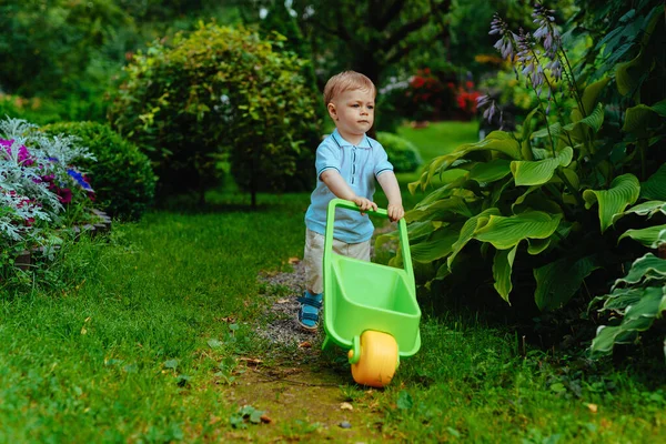 一年夏天花园与手推车里可爱的孩子 — 图库照片