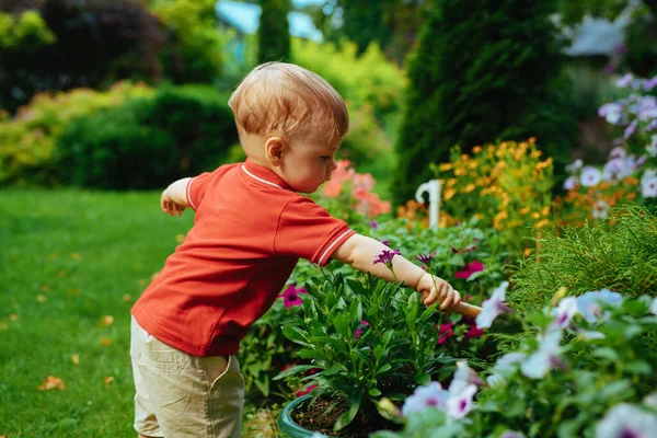 Ένα Χρόνο Φροντίδα Των Παιδιών Λουλούδια Στον Κήπο — Φωτογραφία Αρχείου
