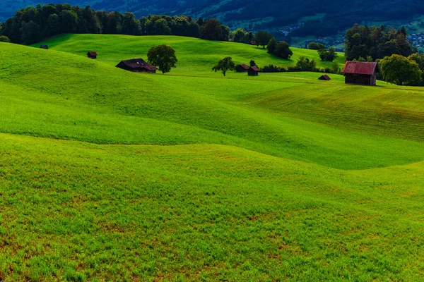 Malerisches Tal Sommer Den Alpen — Stockfoto