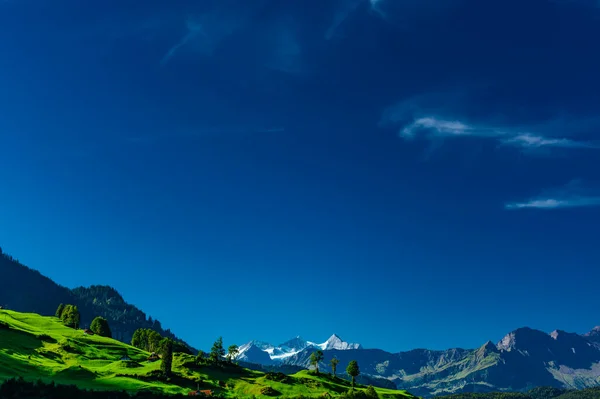 Alpy Vysoké Hory Sněhu Tráva Stromy — Stock fotografie