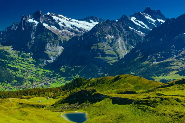 夏には湖とスイスアルプスの山々 — ストック写真