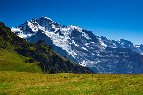 Svájci Alpokban Hegyek Nyáron — Stock Fotó