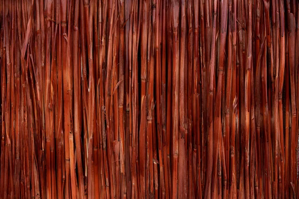 Abstrakter Schilf Oder Bambushintergrund — Stockfoto