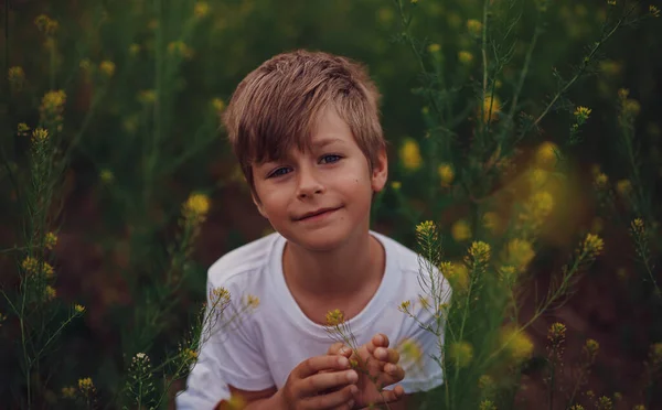 7岁男孩在花草场的画像 — 图库照片