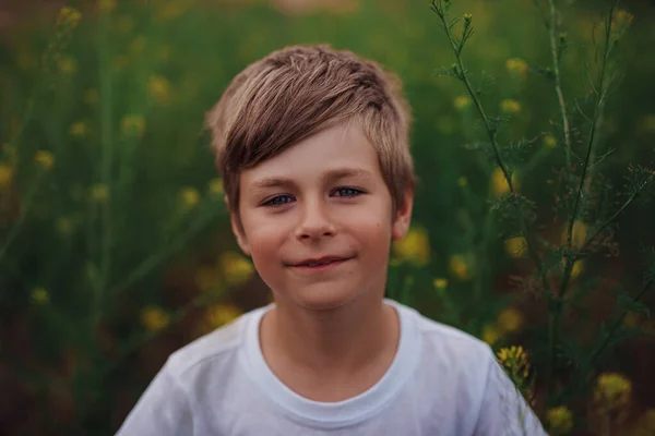 Portret Siedmioletniego Chłopca Łące Kwiatów — Zdjęcie stockowe