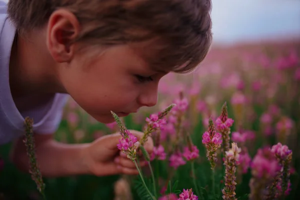 牧草地でピンクの花を嗅ぐ男の子の肖像 — ストック写真