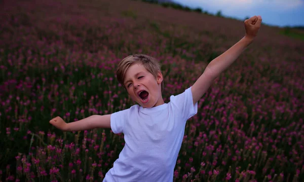 Szczęśliwy Chłopiec Rozciągający Się Łące Kwiatów Zmierzchu — Zdjęcie stockowe