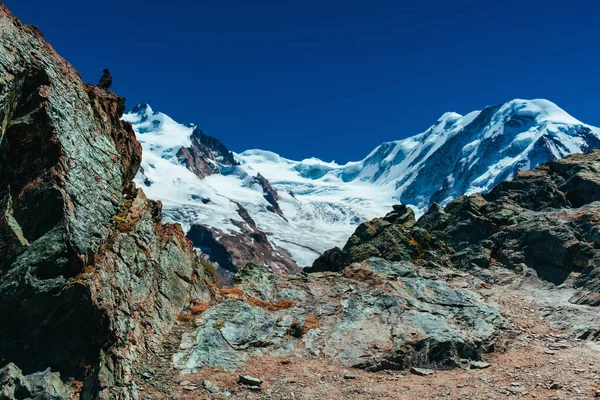 Hoge Bergen Van Alpen Met Gletsjer — Stockfoto