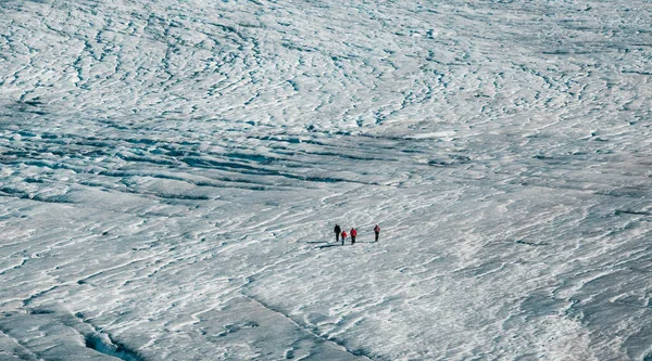 Group Tourists Walks Glacier High Alps — Stock Photo, Image