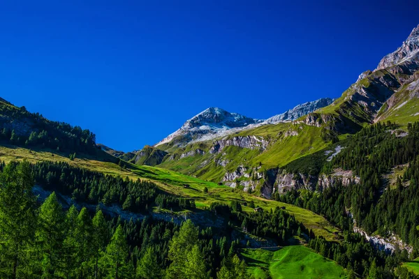 Schweiziska Alperna Sommaren — Stockfoto