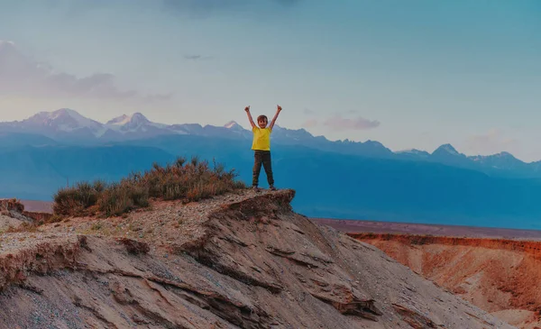Счастливый Успешный Мальчик Стоит Вершине Холма Показывает Большие Пальцы Вверх — стоковое фото