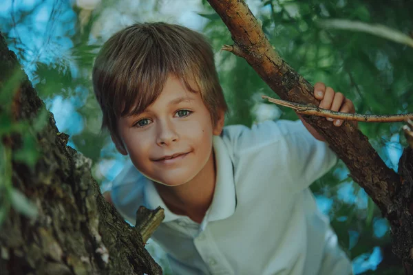 Πορτρέτο Ενός Όμορφου Χαμογελαστού Αγοριού Που Κάθεται Στο Δέντρο — Φωτογραφία Αρχείου
