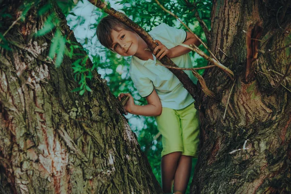 Портрет Улыбающегося Мальчика Сидящего Дереве — стоковое фото