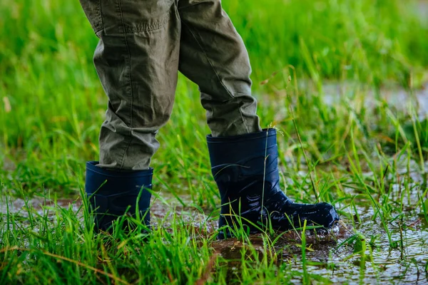 Αγόρι Λαστιχένιες Μπότες Που Περπατάει Βρεγμένο Γρασίδι Μετά Βροχή — Φωτογραφία Αρχείου