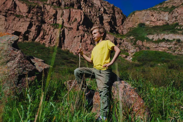Boy Hiker Stick Posing Mountain Pass — Stock Photo, Image