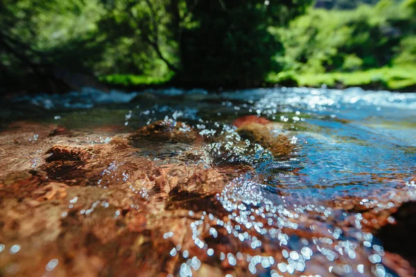 Temiz Suyu Olan Dağ Deresi Odak Noktası — Stok fotoğraf