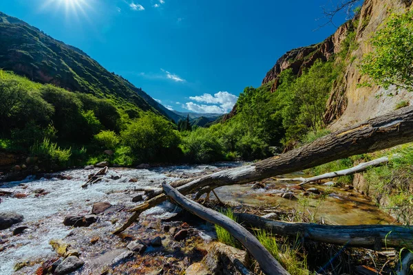 Γραφικό Ηλιόλουστο Τοπίο Ορμητικά Ποτάμι Στα Βουνά — Φωτογραφία Αρχείου