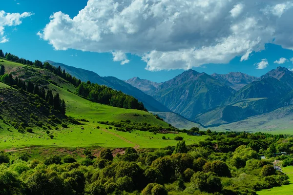 Yazın Resimli Dağ Manzarası — Stok fotoğraf