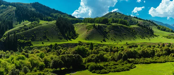 여름에는 피콜로 파노라마처럼 펼쳐진 산골짜기 — 스톡 사진